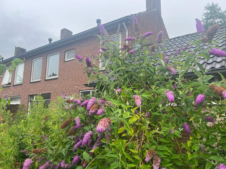 Photo 6 of Kerkstraat 44