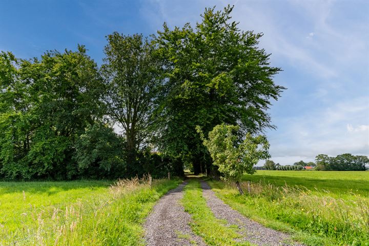 Bekijk foto 7 van De Maat 32