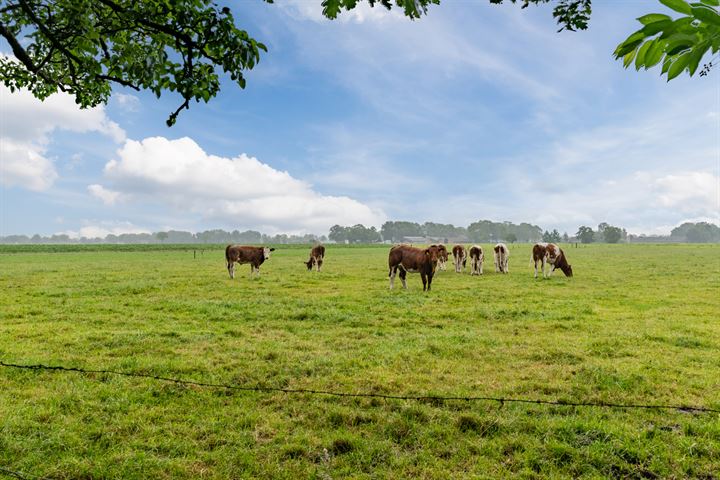 Bekijk foto 43 van De Maat 32