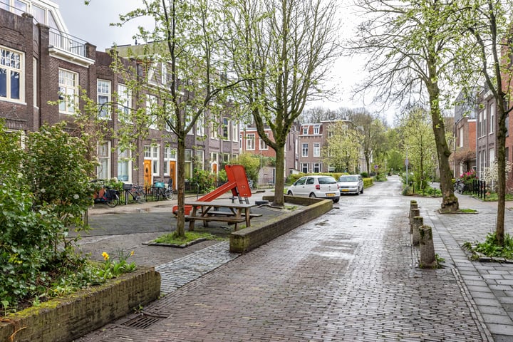 Bekijk foto 48 van Anna Paulownastraat 7-A