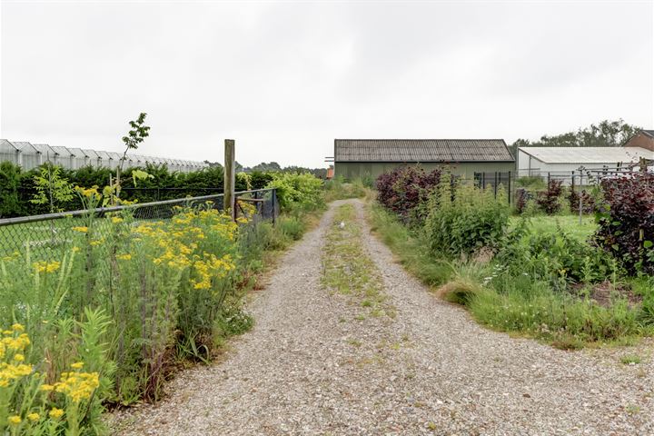 Bekijk foto 41 van Langevenseweg 4