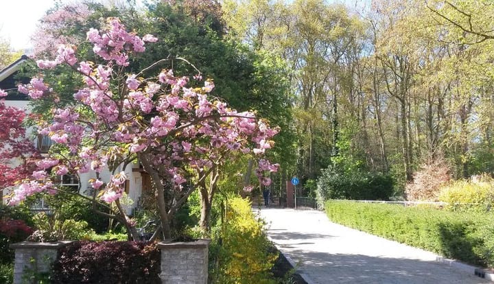 Foto 60 van Schoutenburgstraat 26