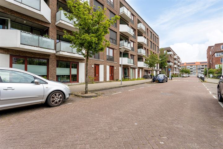 Bekijk foto 36 van Theodoor van Hoytemastraat 104