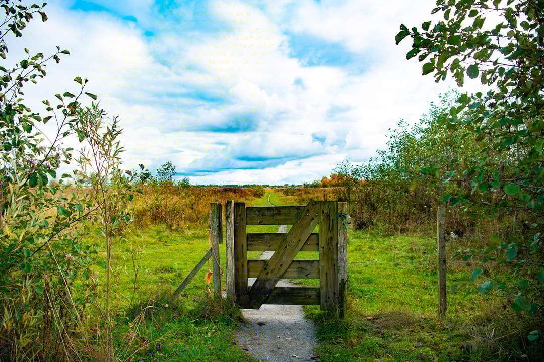 Foto 12 van Landgoed de Woldberg