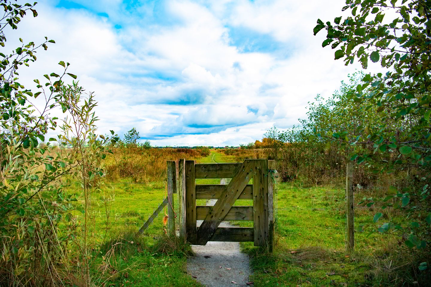 Photo 12 of Landgoed de Woldberg