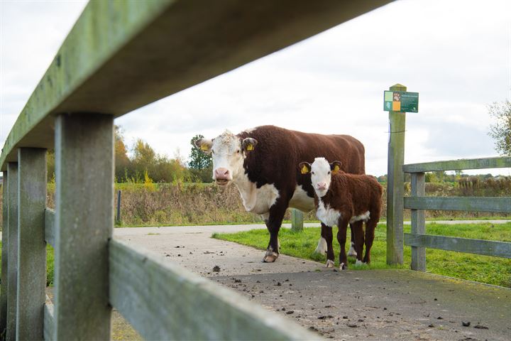 View photo 13 of Landgoed de Woldberg