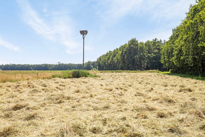 Photo 85 of Hoogveldsestraat 15