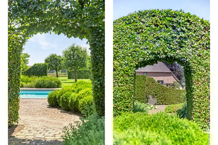 Photo 91 of Hoogveldsestraat 15