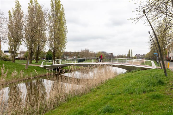 Bekijk foto 38 van Laan van Berlioz 22