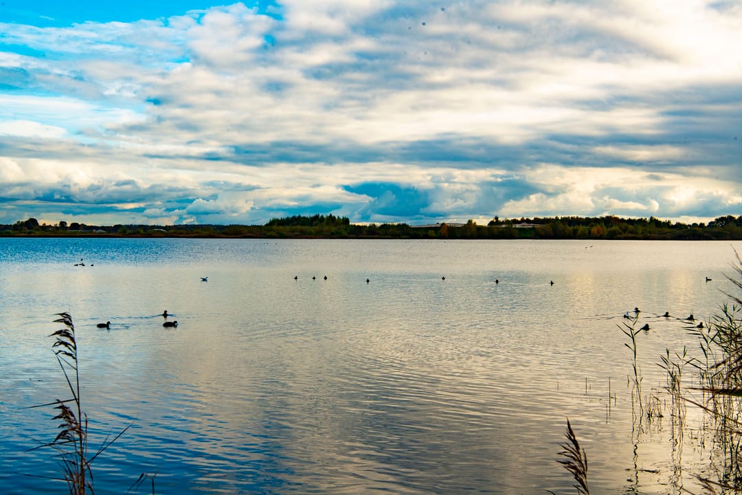 Photo 7 of Eeser Buiten (Bouwnr. Kavel 89)