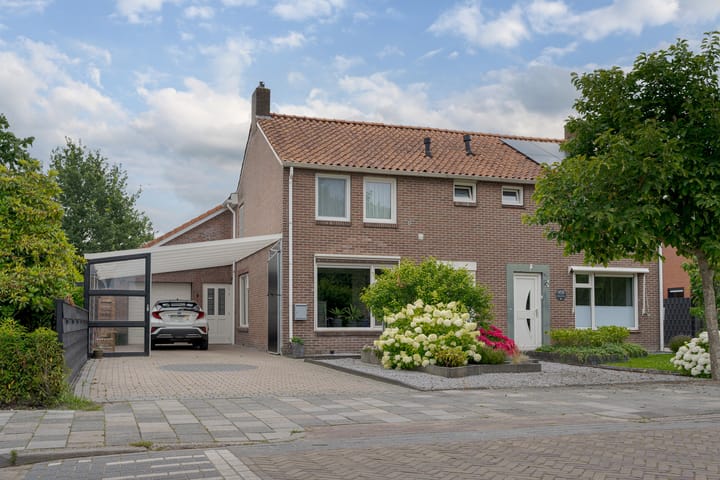 undefined main image