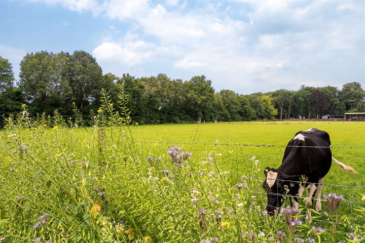 Bekijk foto 34 van Horstlindelaan 46