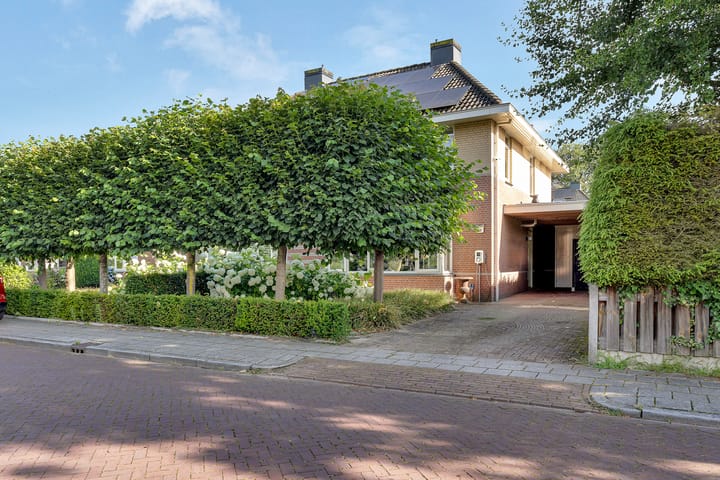 Foto 30 van Koningsvaren 10