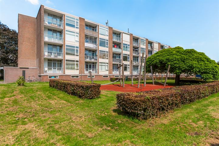 Bekijk foto 42 van Schrijverspark 127-01