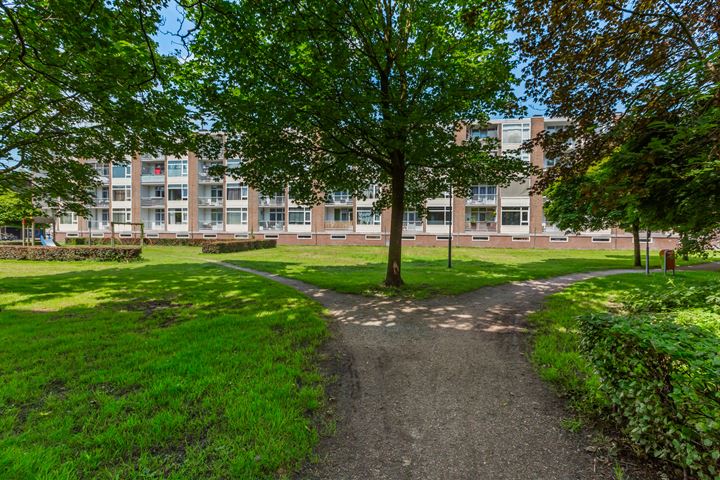 Bekijk foto 46 van Schrijverspark 127-01