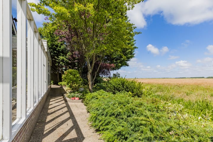 Foto 4 van Jan van Scorelpark 8