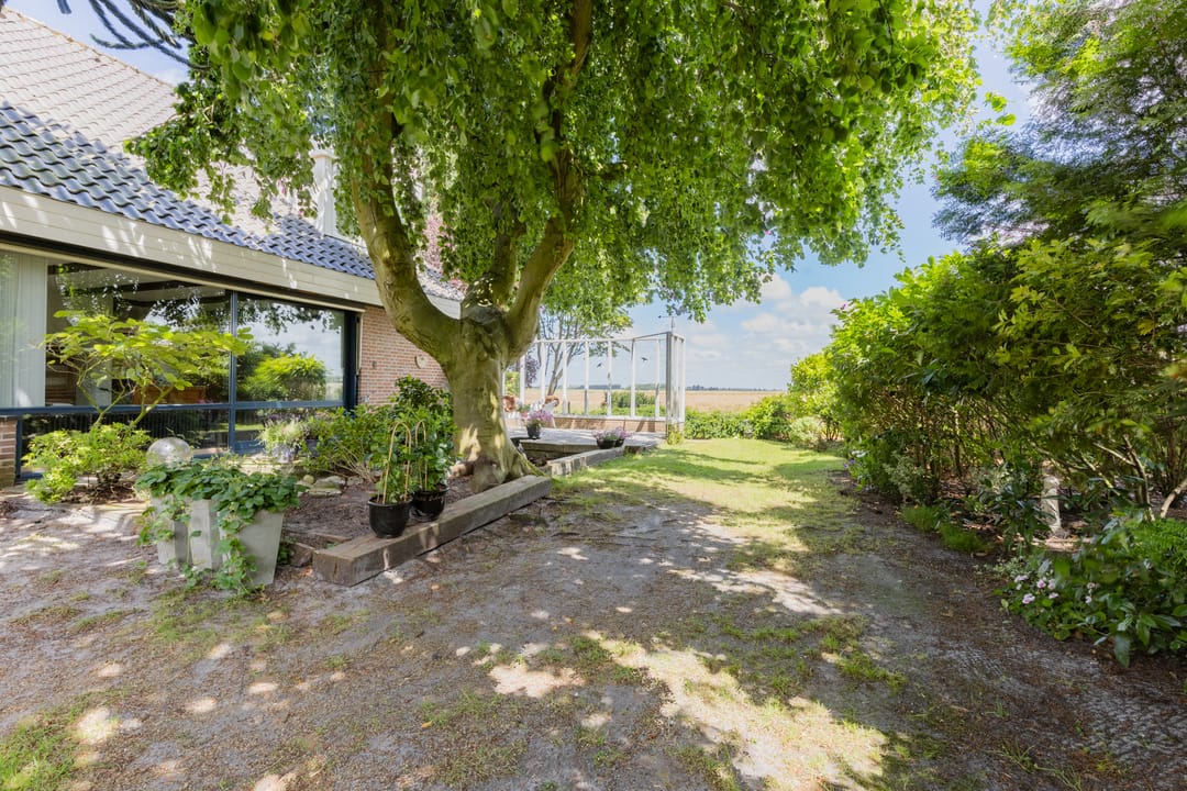 Foto 47 van Jan van Scorelpark 8