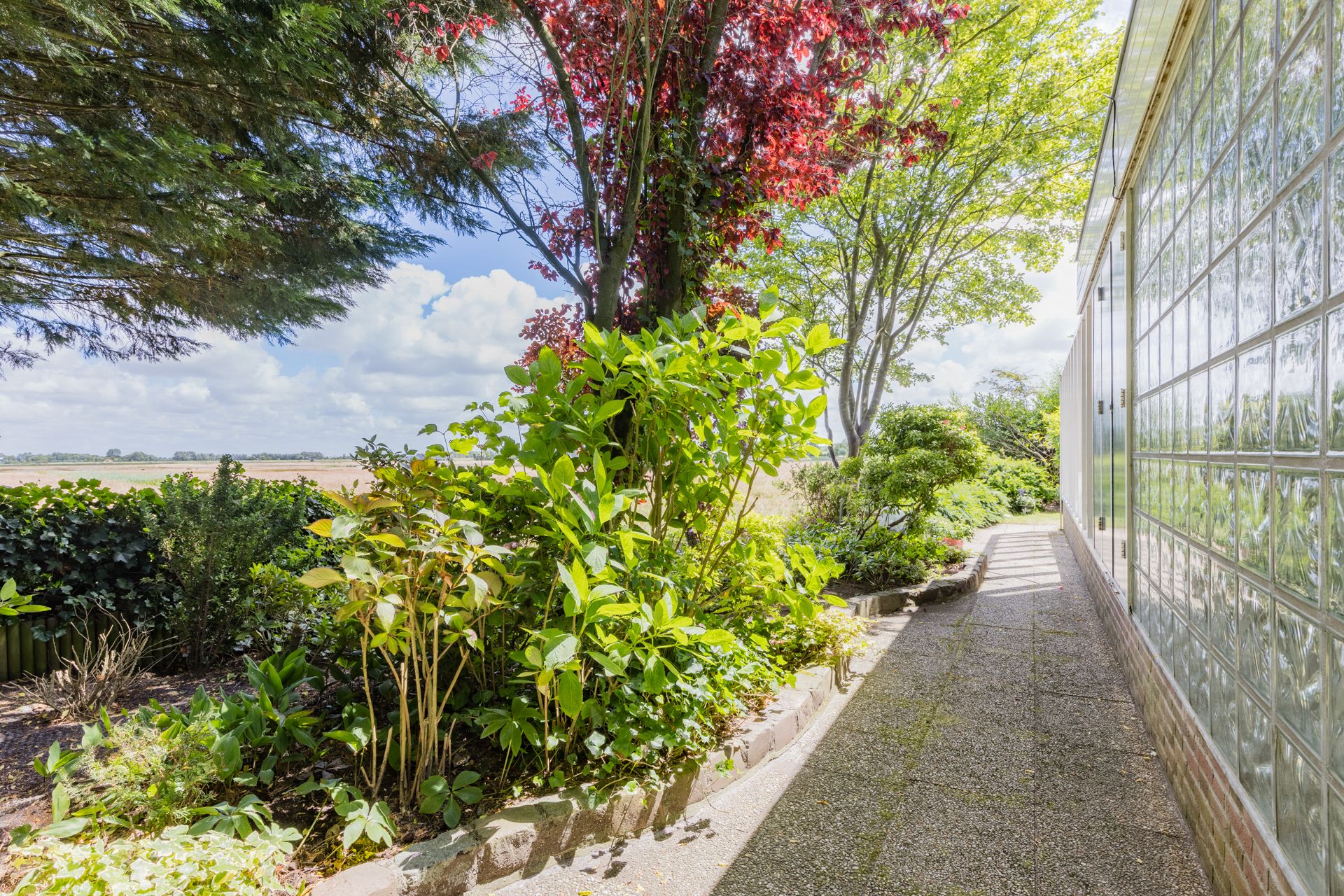 Foto 48 van Jan van Scorelpark 8