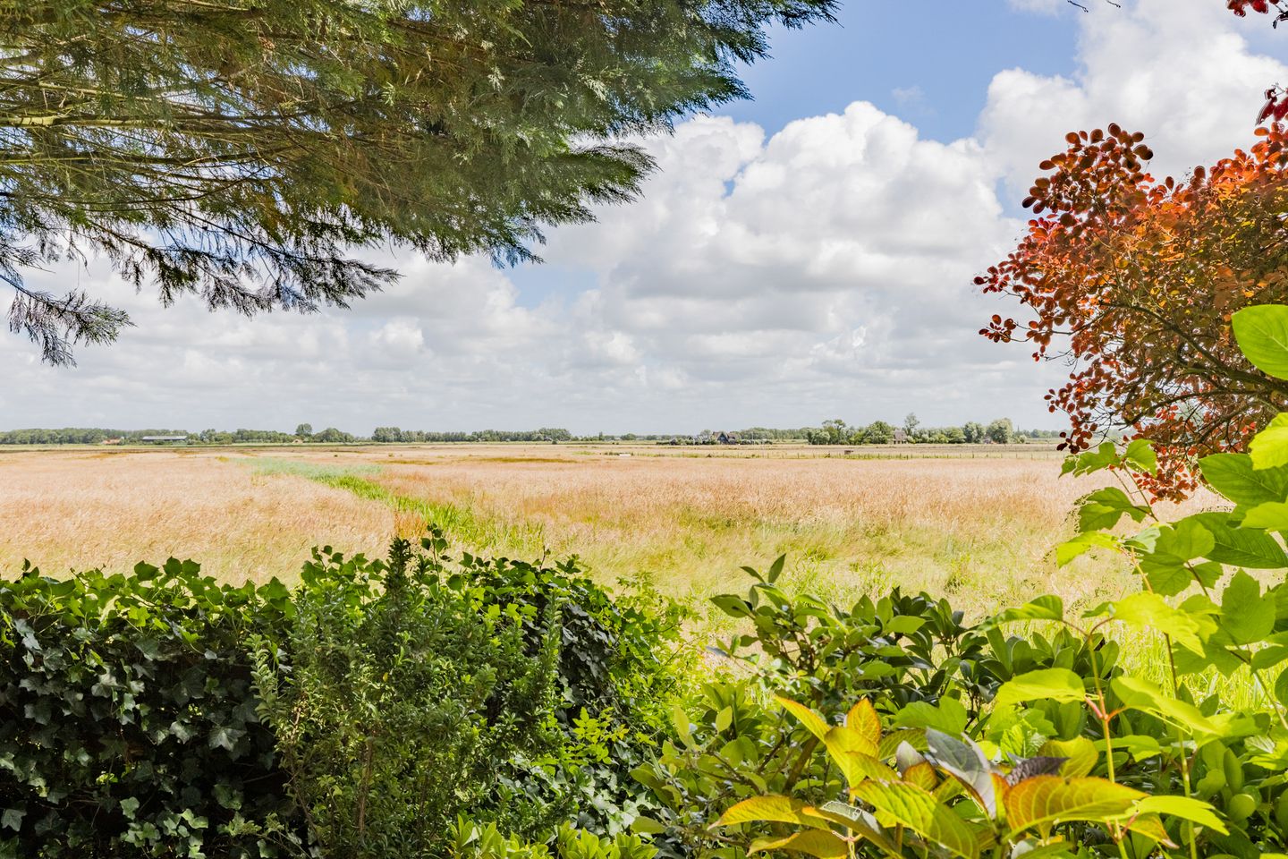 Foto 49 van Jan van Scorelpark 8