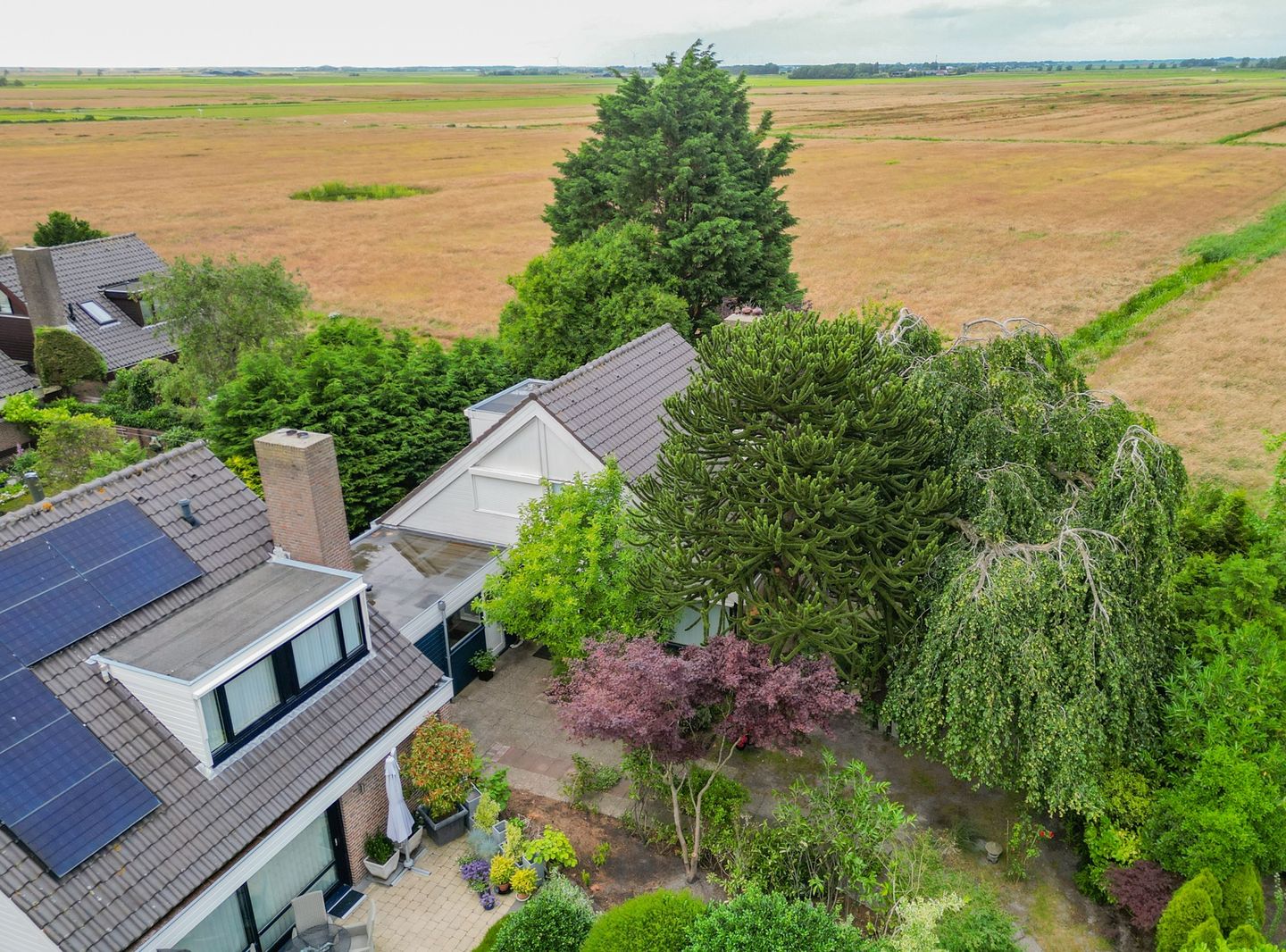 Foto 50 van Jan van Scorelpark 8