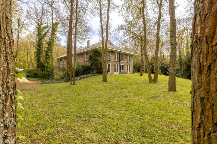 Photo 48 of Van Vollenhovenlaan 28