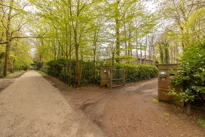 Photo 51 of Van Vollenhovenlaan 28