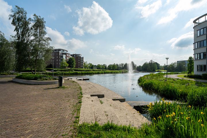 Bekijk foto 41 van Gauke Boelensstraat 41