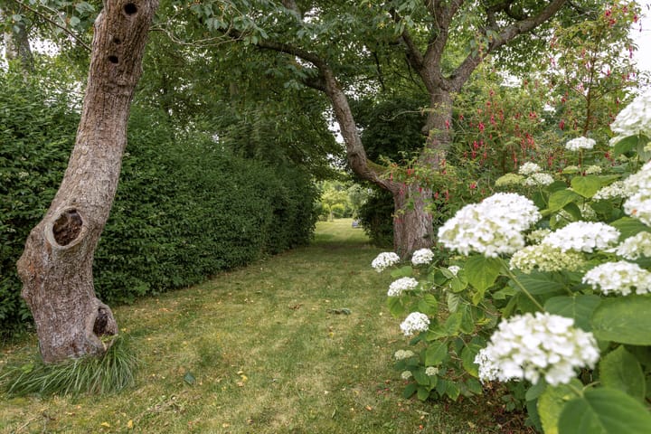 Foto 23 van Molenstraat 35