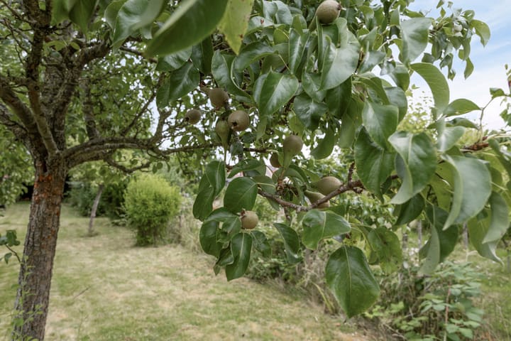 Foto 29 van Molenstraat 35