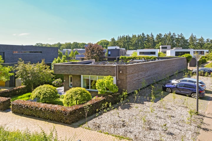 Waterland 206