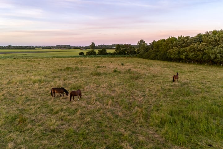 Bekijk foto 56 van Blinkertlaan 4