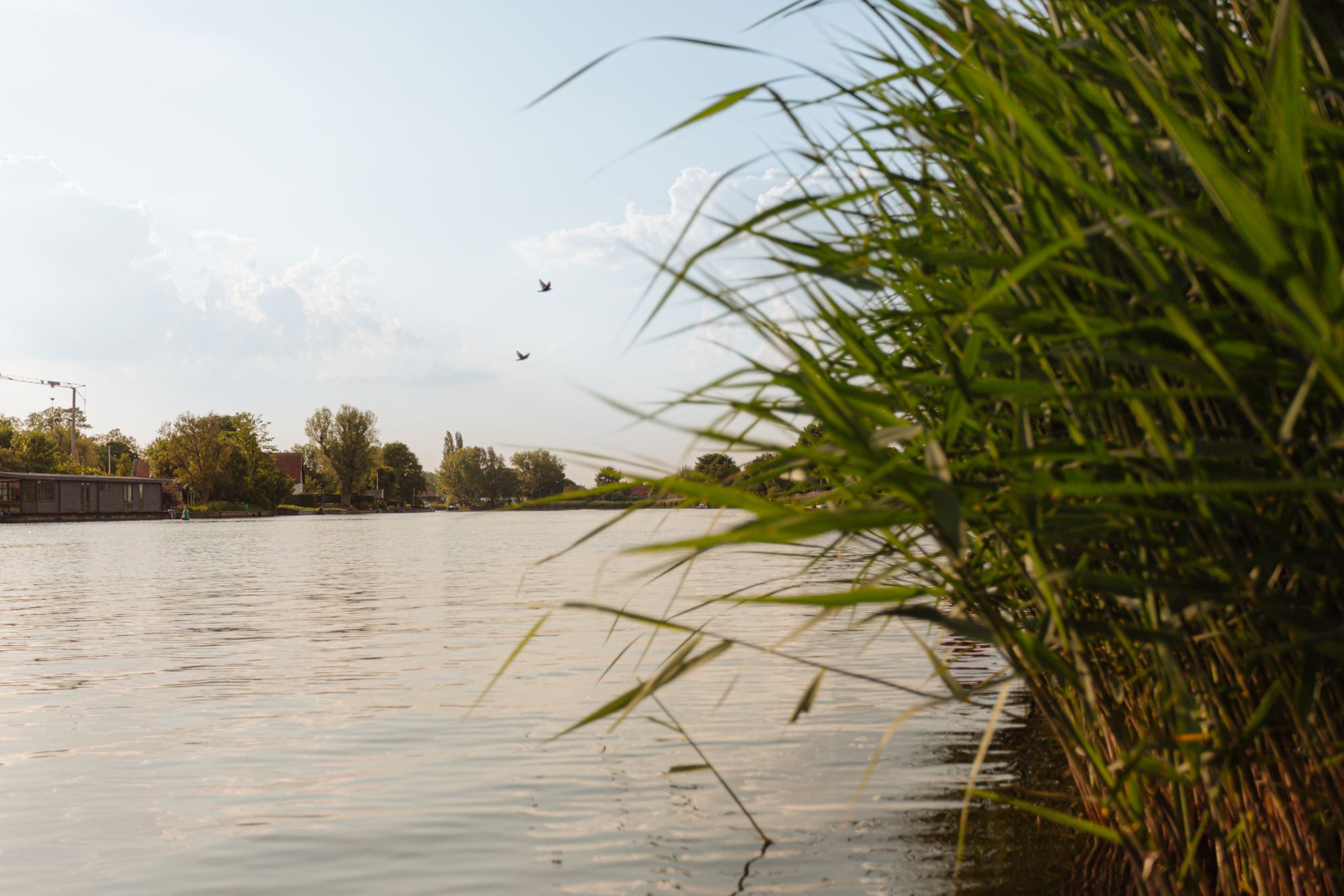 Photo 19 of 's-Gravelandseweg 22 's-GraveVecht