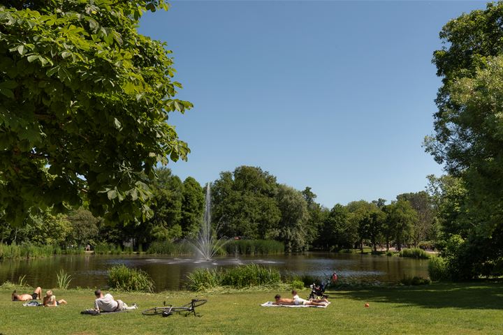 Bekijk foto 30 van Veerstraat 59-1