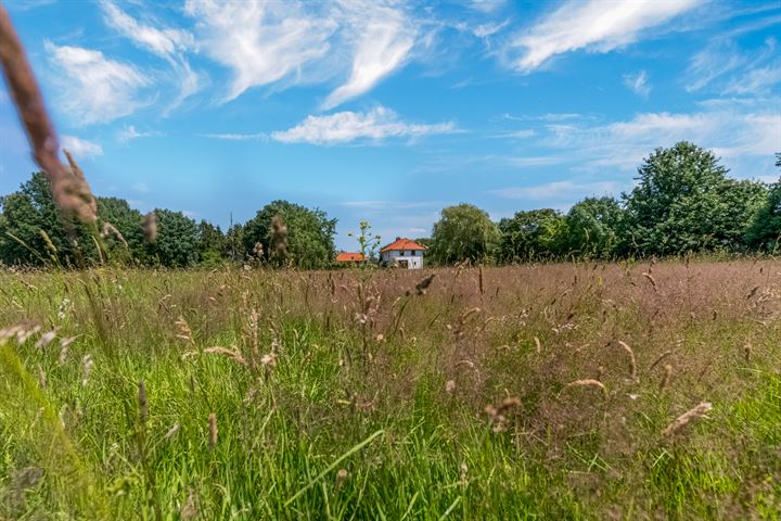 Bekijk foto 4 van Hogeveld 12