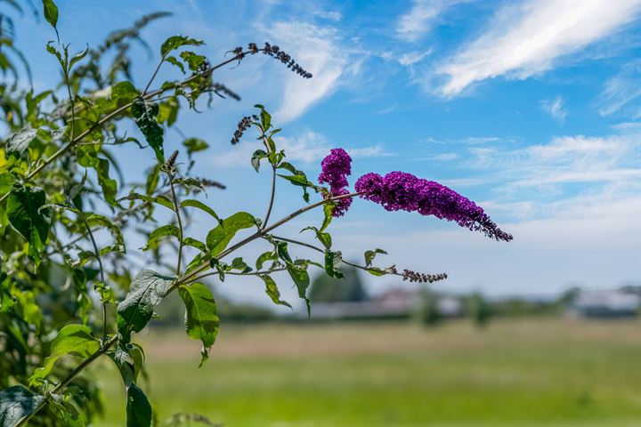 Bekijk foto 41 van Hogeveld 12