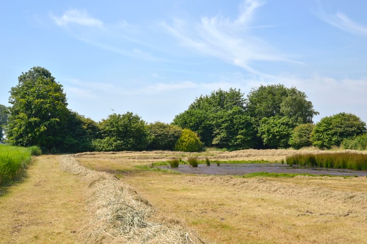 Foto 28 van Bunschoterweg 56