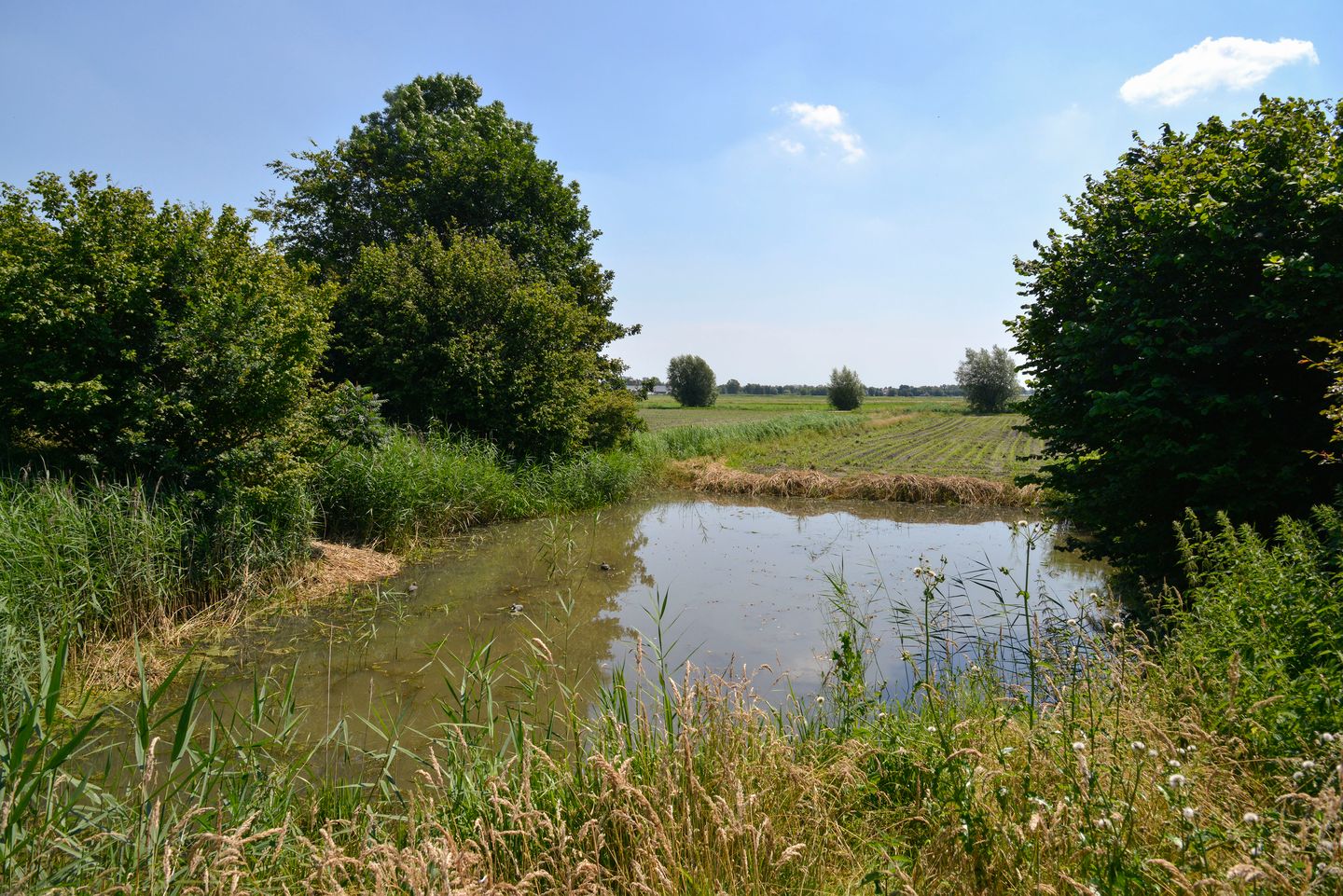 Foto 29 van Bunschoterweg 56