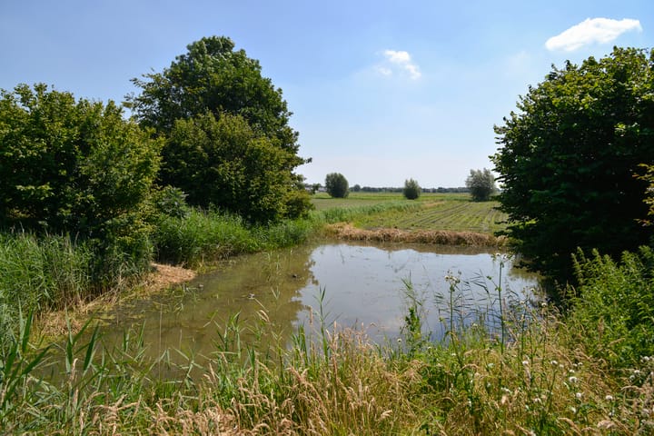 Foto 29 van Bunschoterweg 56