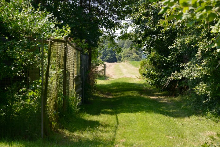 Foto 31 van Bunschoterweg 56