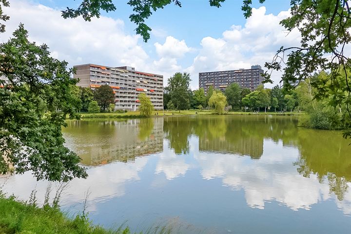 Bekijk foto 33 van Kapittelweg 248