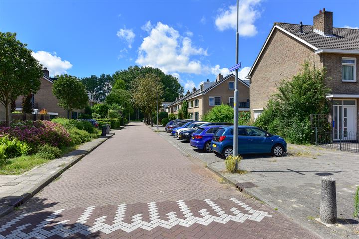 Bekijk foto 24 van Haamstedestraat 10