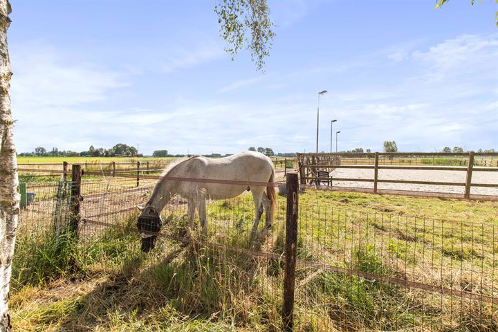 Bekijk foto 36 van Weteringdijk 85