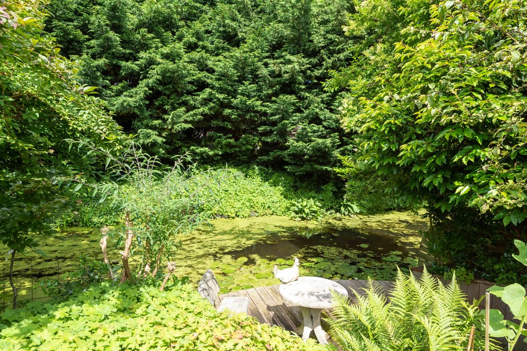 Foto 41 van De Boog 48