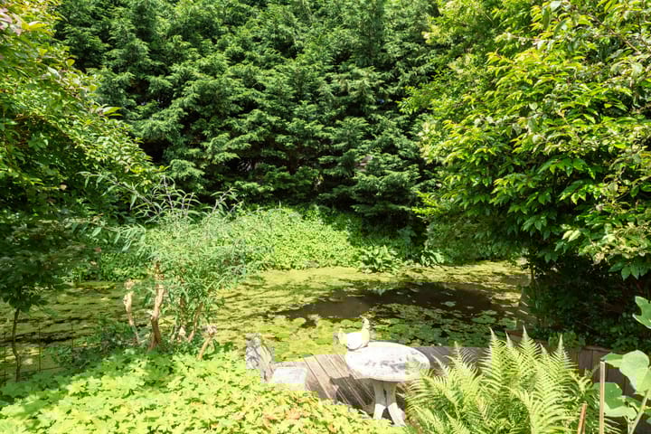 Foto 41 van De Boog 48