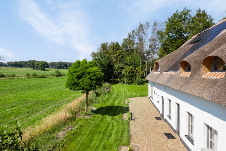 Photo 43 of Klein-Molenbeek 6