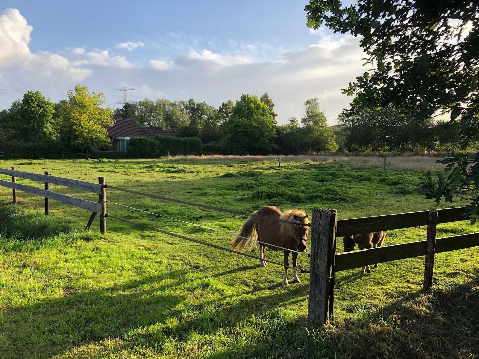 Foto 45 van Hoogeveenseweg 27