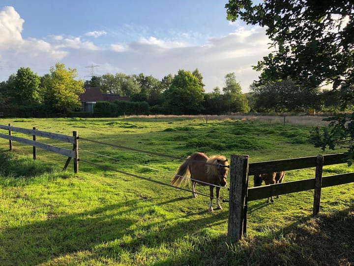 Foto 45 van Hoogeveenseweg 27