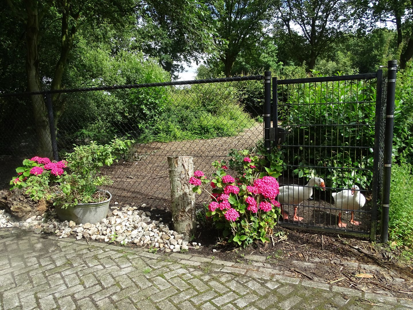 Foto 49 van Hoogeveenseweg 27