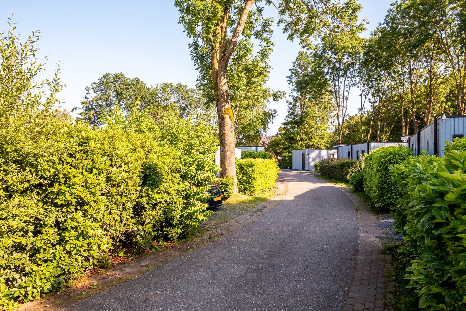 Photo 15 of Zuiderweg 2-221