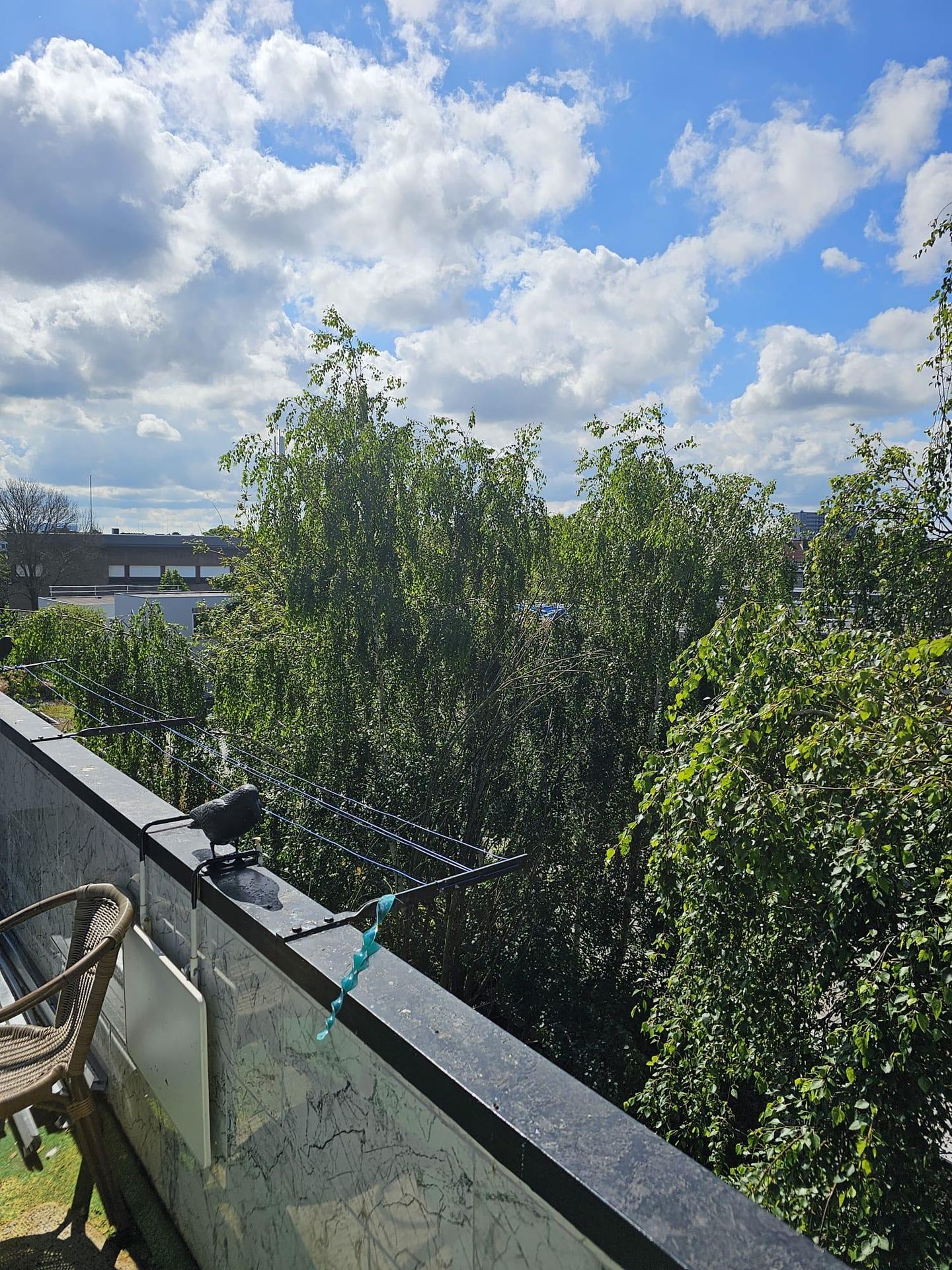 Foto 14 van Troelstrakade 363